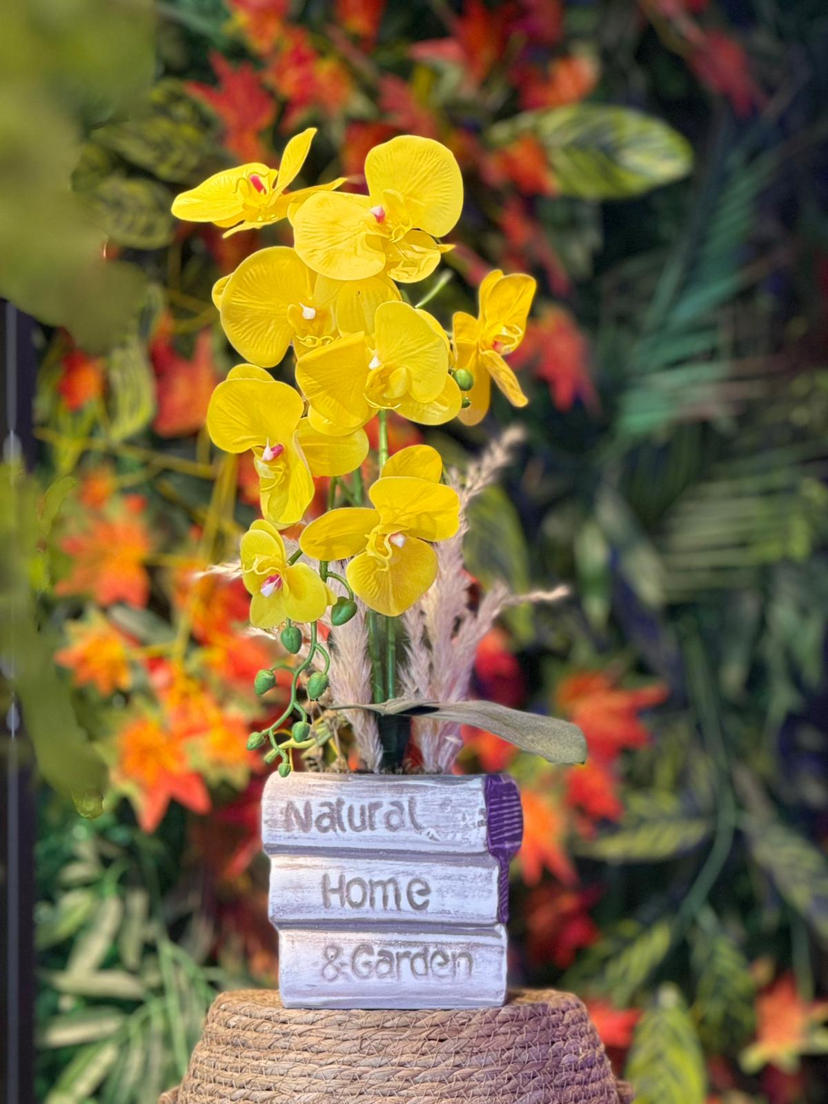 Saksıda Sarı Orkideler