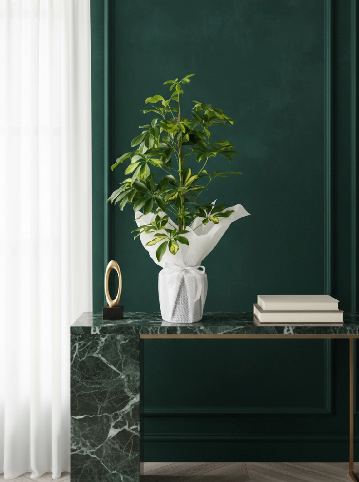 Şeflera Saksi Çi̇çeği̇