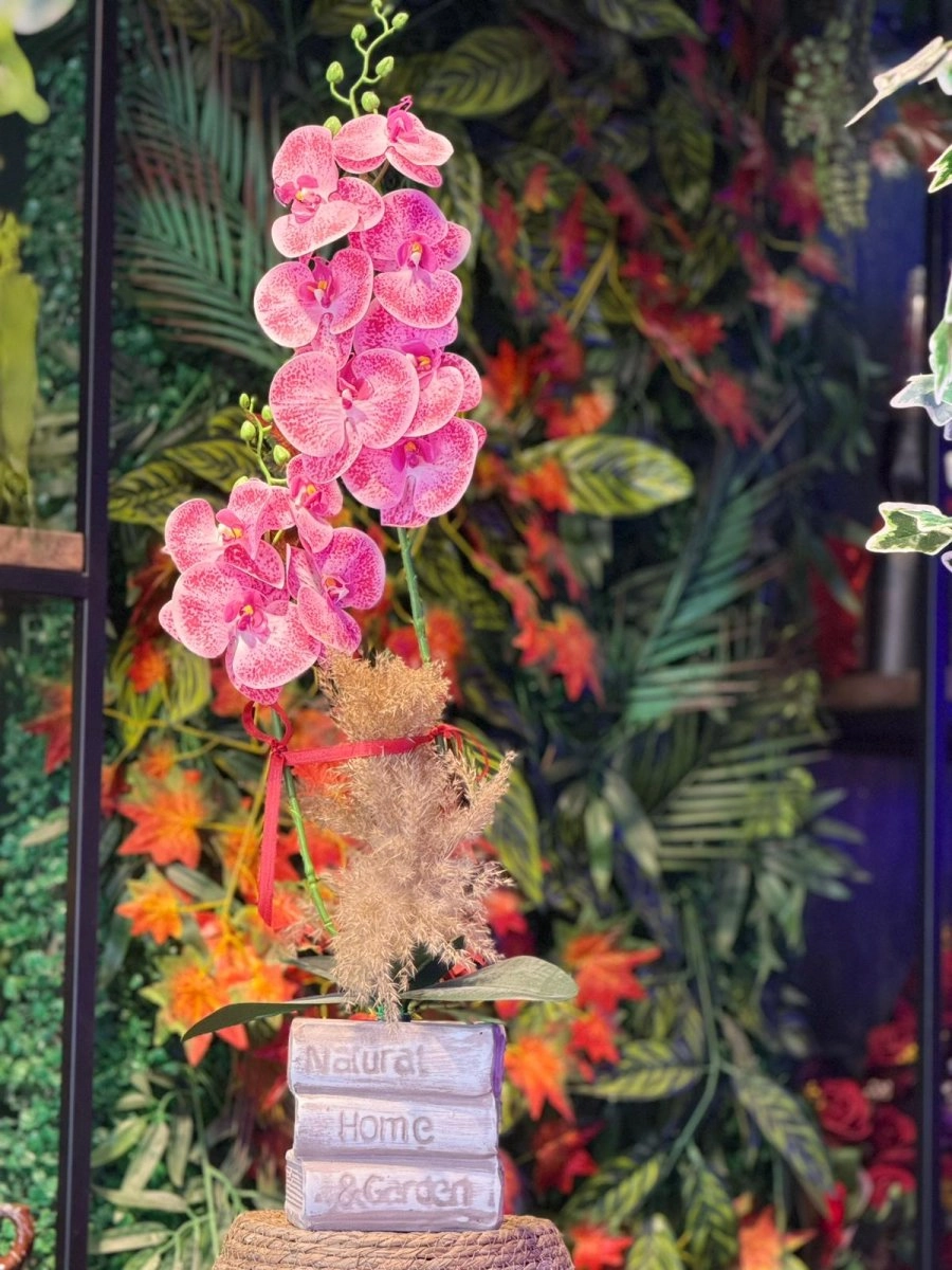 Çift Dallı Pembe Orkide