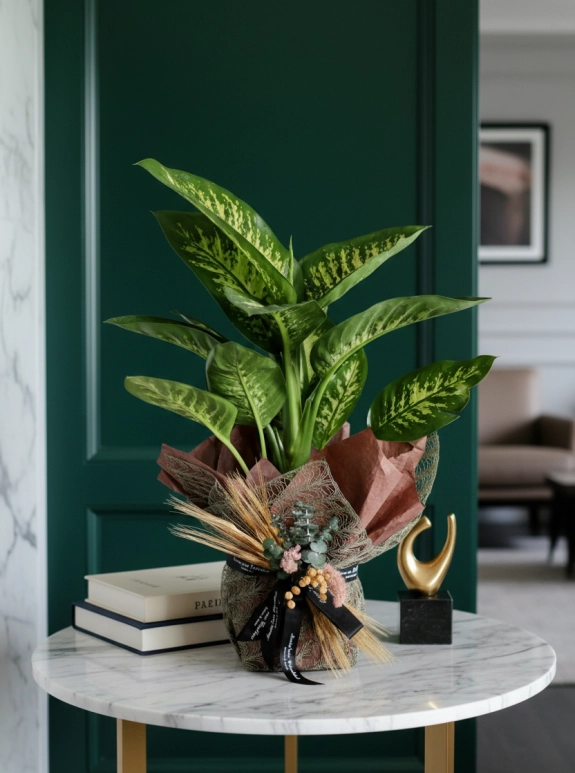 Di̇fenbahya Çi̇çeği̇