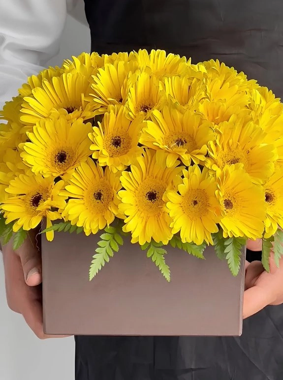 Kutuda Sarı Gerbera