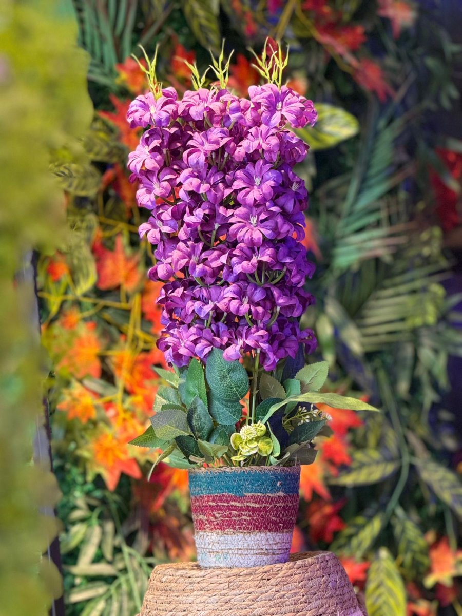 Saksıda Mor Çiçekler