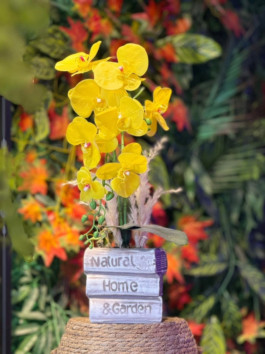 Saksıda Sarı Orkideler